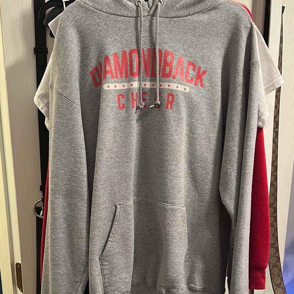 Diamond Supply Co. Cheer Gray Hoodie